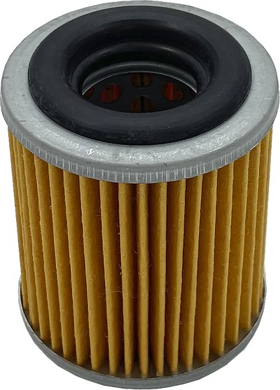 Oil filter, automated manual transmission (AMT) (ATG 035)
