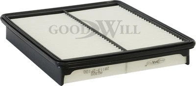 Air Filter (AG 305)