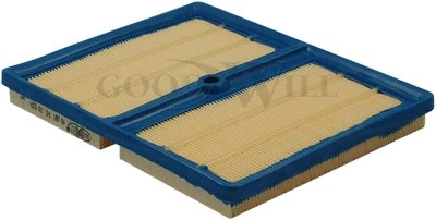 Air Filter (AG 685)