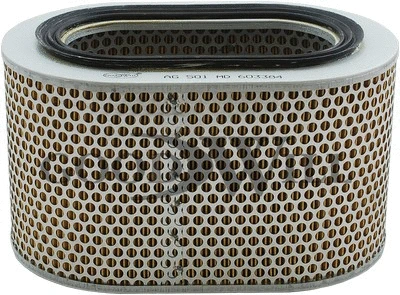Air Filter (AG 501)