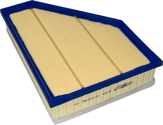 Air Filter (AG 875)