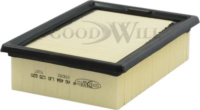 Air Filter (AG 494)