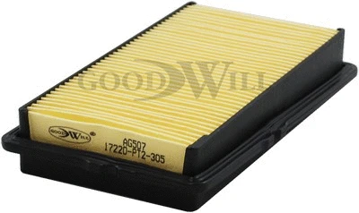 Air Filter (AG 507)