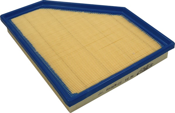 Air Filter (AG 793)
