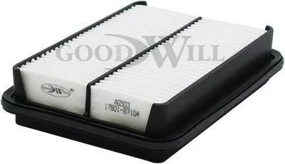 Air Filter (AG 503)