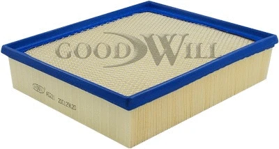 Air Filter (AG 221)