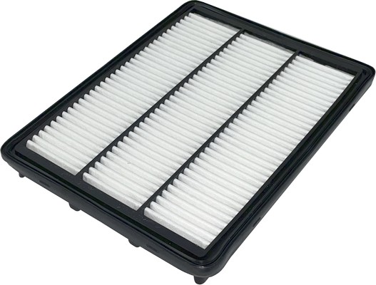 Air Filter (AG 890)