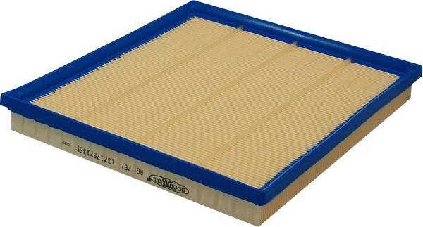 Air Filter (AG 787)