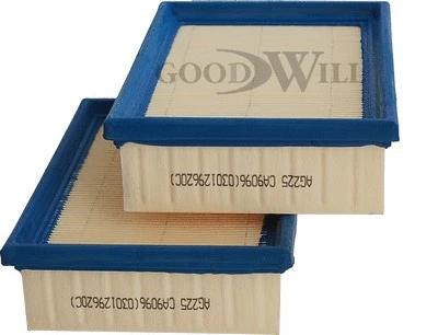 Air Filter (AG 225 2K)