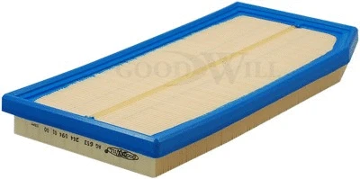 Air Filter (AG 653)