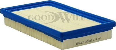Air Filter (AG 613)