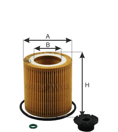 Oil Filter