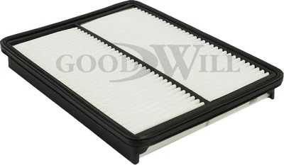 Air Filter (AG 436)