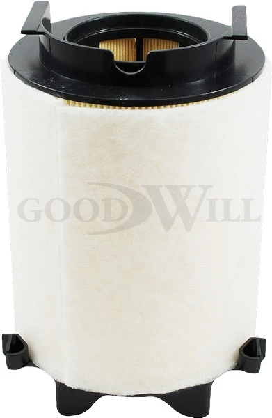 Air Filter (AG 261)