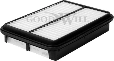 Air Filter (AG 600)