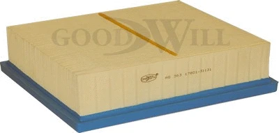 Air Filter (AG 363)
