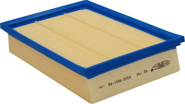 Air Filter (AG 794)