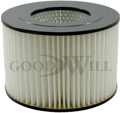 Air Filter (AG 534)