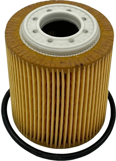 Oil Filter (OG 181 ECO)