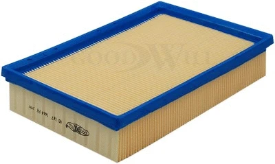 Air Filter (AG 747)