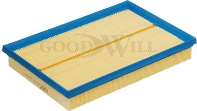 Air Filter (AG 428)
