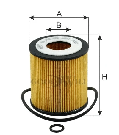 Oil Filter