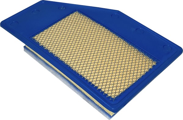 Air Filter (AG 821)
