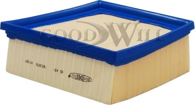 Air Filter (AG 491)