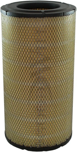 Air Filter (AG 1089)