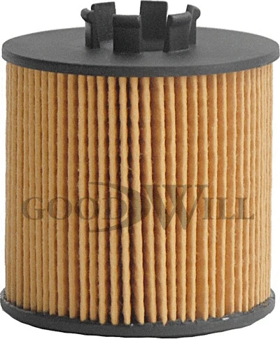 Oil Filter (OG 200 ECO)