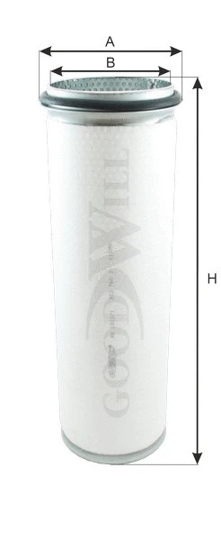 Secondary Air Filter