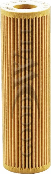 Oil Filter (OG 144 ECO)