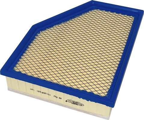 Air Filter (AG 883)