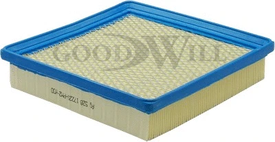 Air Filter (AG 528)