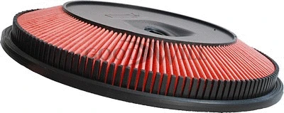 Air Filter (AG 517)