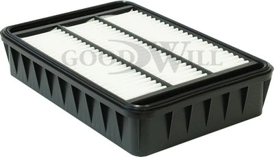 Air Filter (AG 599)