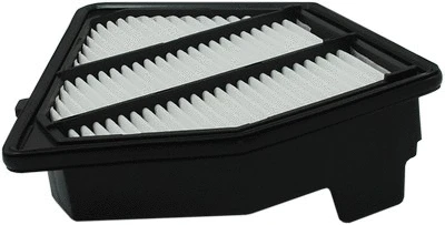 Air Filter (AG 646)