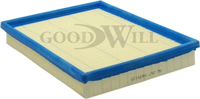 Air Filter (AG 267)