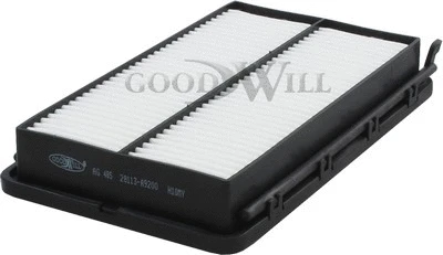 Air Filter (AG 485)
