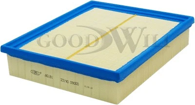 Air Filter (AG 181)