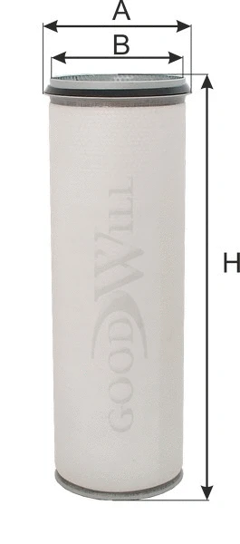 Secondary Air Filter