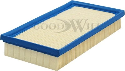 Air Filter (AG 249)