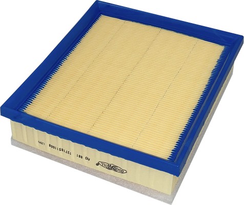 Air Filter (AG 881)