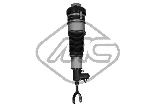 Air Suspension Strut