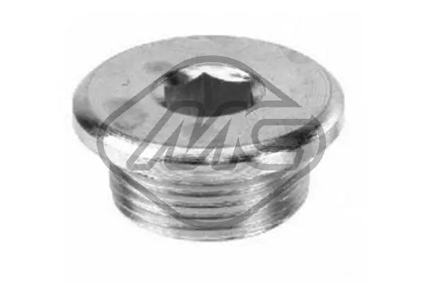 Screw Plug, oil sump (39997)