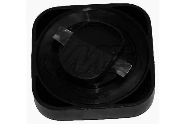Sealing Cap, oil filler neck (03747)