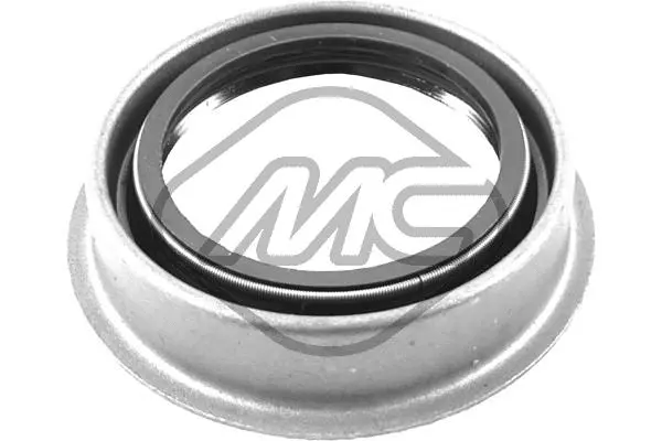 Shaft Seal, differential (39213)
