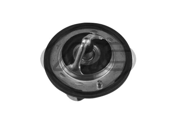 Thermostat, coolant (31276)