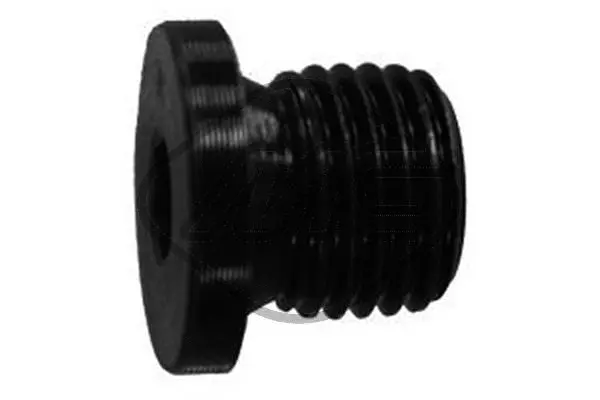 Screw Plug, oil sump (39999)