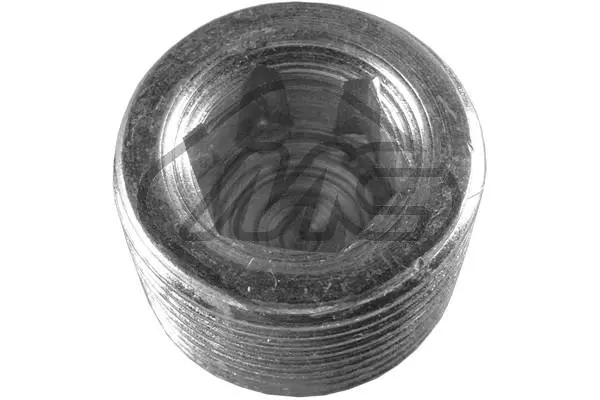 Screw Plug, oil sump (00676)